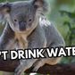 Some animals don't need to drink to water survive [YouTube]