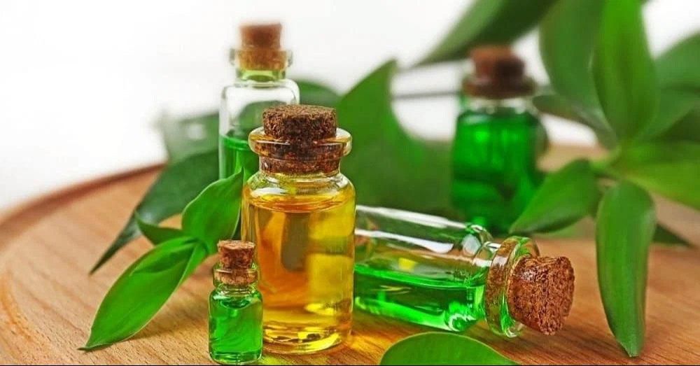 Tea tree oil [IndiaMART]