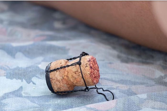 A regular wine cork can save you from a lot of trouble [Alamy Limited]