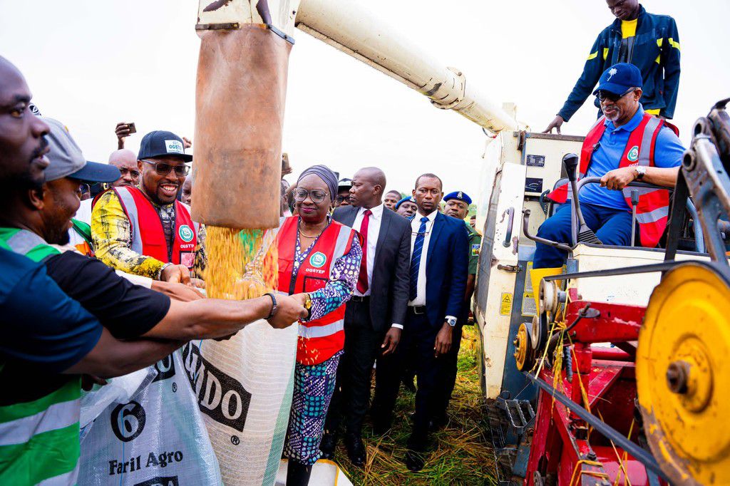 Ogun Government earns ₦1 billion revenue from rice production, poised to feed the nation