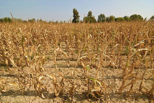 Drought
