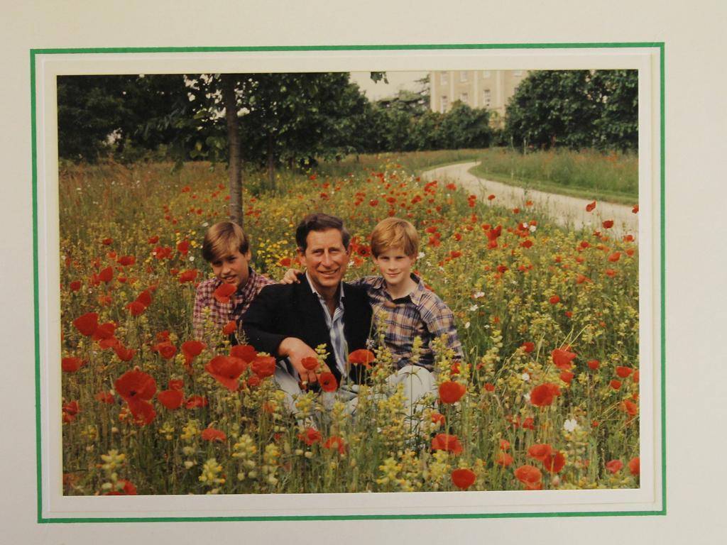 1994: A card shows Charles, who separated from Diana in 1992, with their two sons.