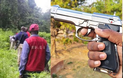 NDLEA talk tough as Bayelsa youths free drug 2 suspects, steal pistol from officers