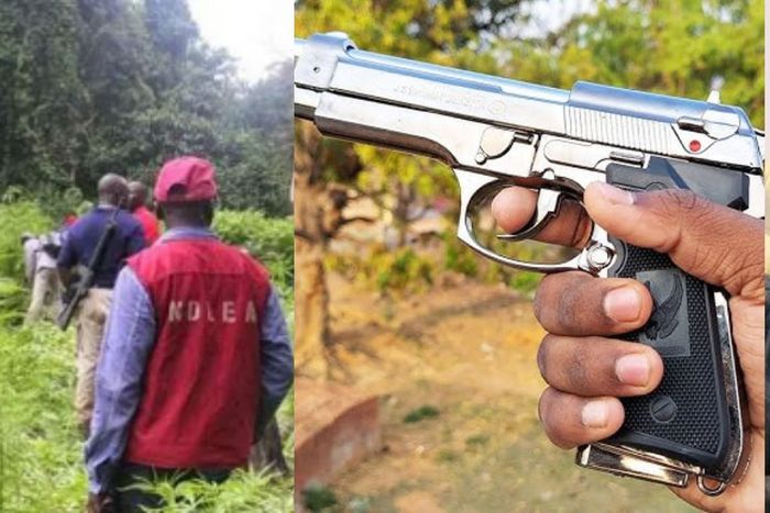 NDLEA talk tough as Bayelsa youths free drug 2 suspects, steal pistol from officers