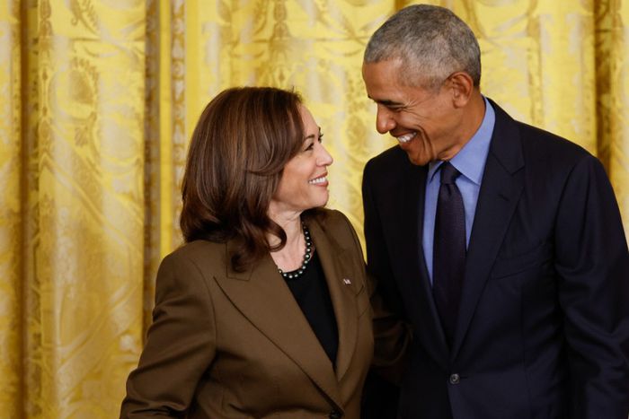 Vice President Kamala Harris and ex-President Barack Obama. [Getty Images]