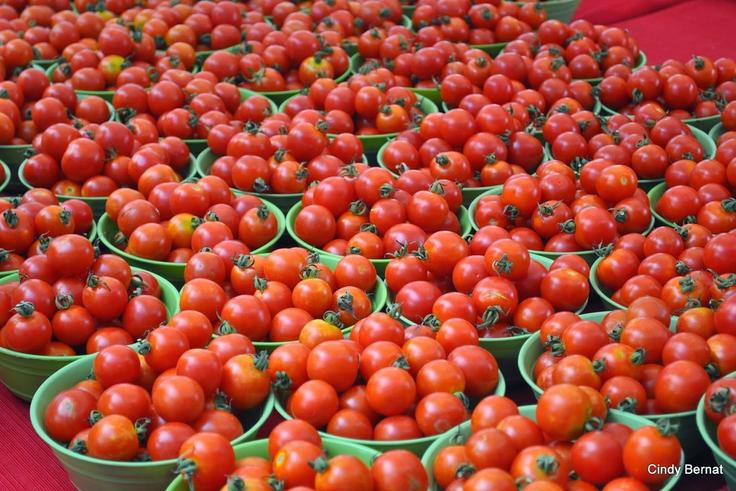 Tomato Price Hike: An entrance of new alternatives