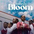 Bill & Melinda Gates Foundation premieres ‘Journey to Bloom’ [Africa Magic]