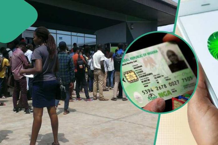 BVN and NIN linking [Legit.ng]