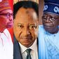 There will be no Nigeria - Shehu Sani warns Northern politicians plotting to unseat Tinubu