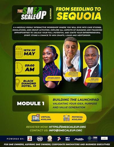 Seedling to Sequoia: SME Scale-Up partners SBC, others to grow SMEs in Nigeria