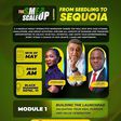Seedling to Sequoia: SME Scale-Up partners SBC, others to grow SMEs in Nigeria