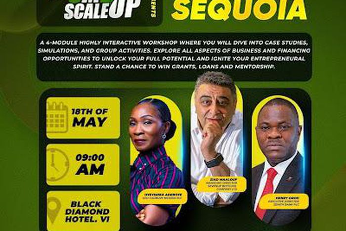 Seedling to Sequoia: SME Scale-Up partners SBC, others to grow SMEs in Nigeria