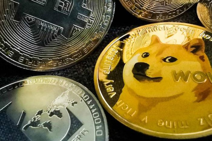 Bitcoin and Dogecoin cryptocurrencies.Jakub Porzycki/Getty Images