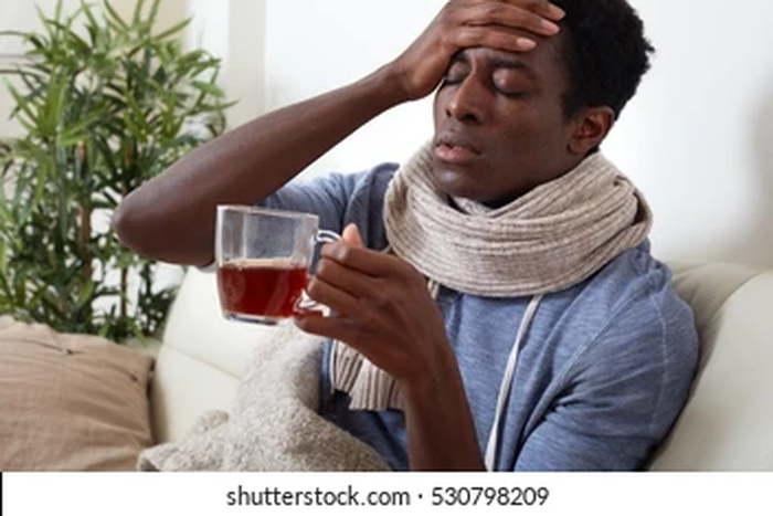 Herbs that treat malaria [Shuttershock]