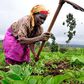 Farmers Day
