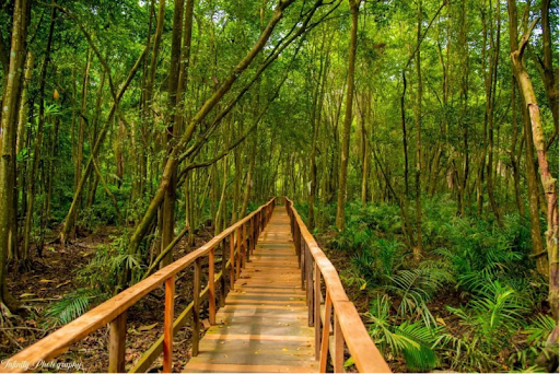 Lekki Conservation Centre, Lagos
