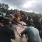 Residents butcher stranded whale for meat in Bayelsa community