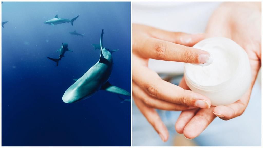 Sharks in skincare [livekindly]