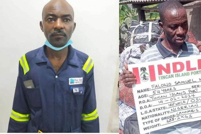 NDLEA seizes cocaine, colorado, arms from South Africa, arrests dock worker