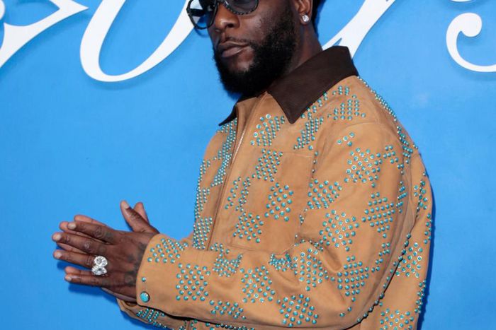 See what Wizkid, Tems, Rema, Burna Boy wore to Pharrell Williams Louis Vuitton S/S 2025 Men’s show