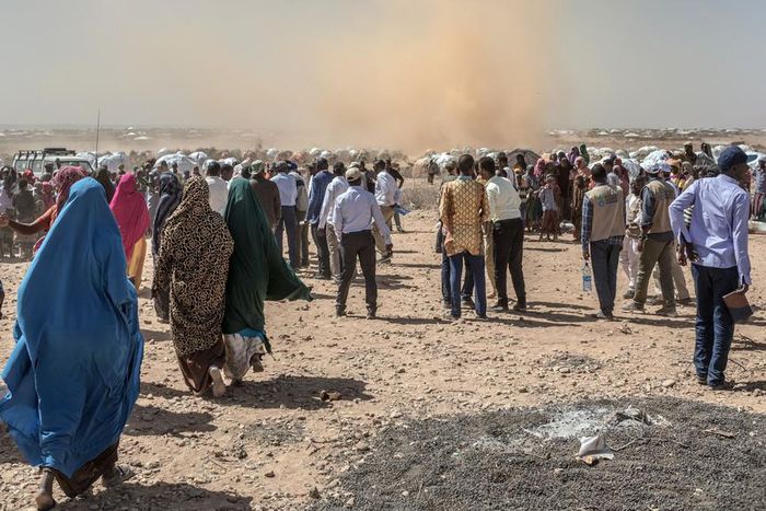 The have been  over 33,000 new arrivals from Sudan since the start of 2024