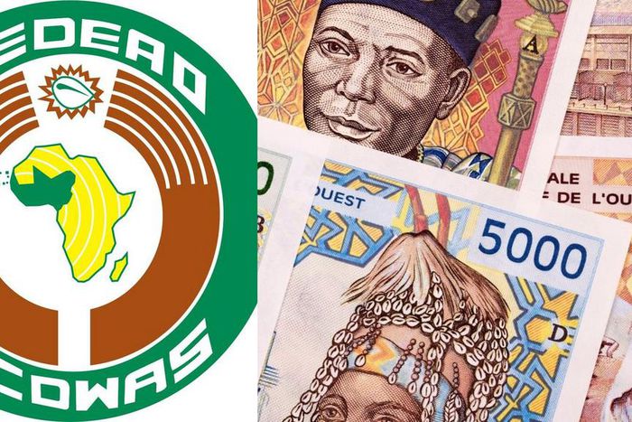 ECOWAS set to unveil single currency, ECO after Nigeria endorsement