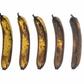 The penis changes as you age [TheAtlantic]