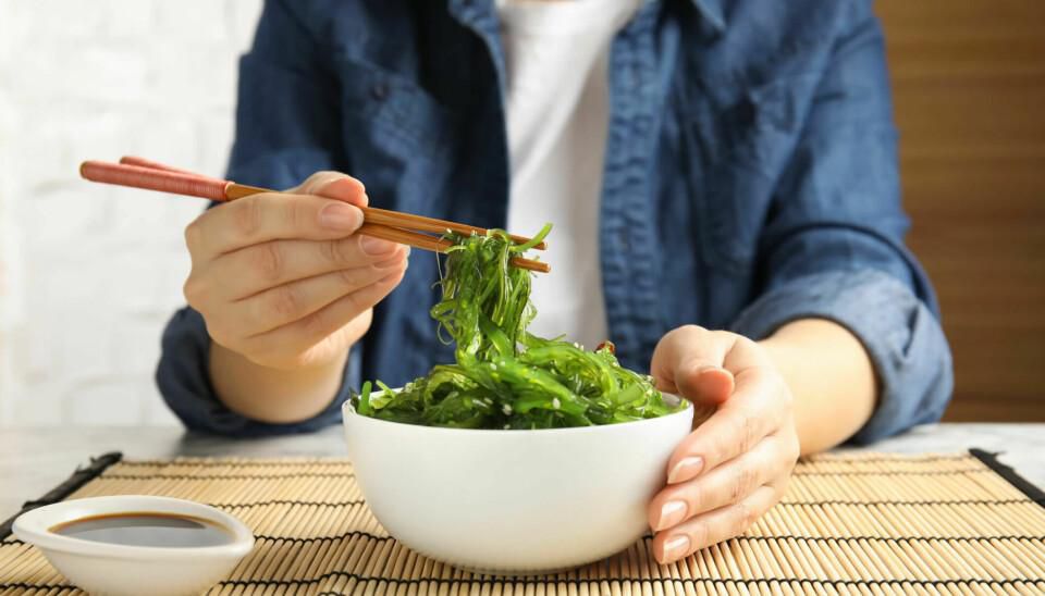 Health benefits of eating seaweed [PartnerScienceNorway]