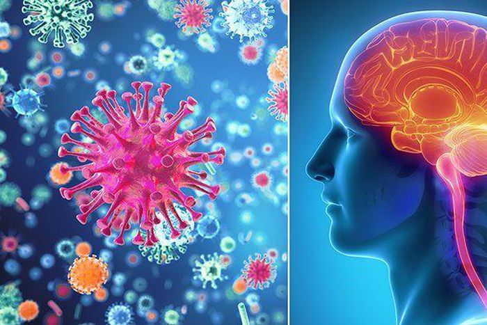 Meningitis [Everyday Health]