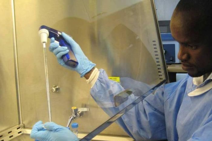 United States has praised the Federal Government's efforts to end malaria in Nigeria [Afroinsider]