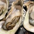 Oysters have some aphrodisiac properties [EatSomethingSexy]