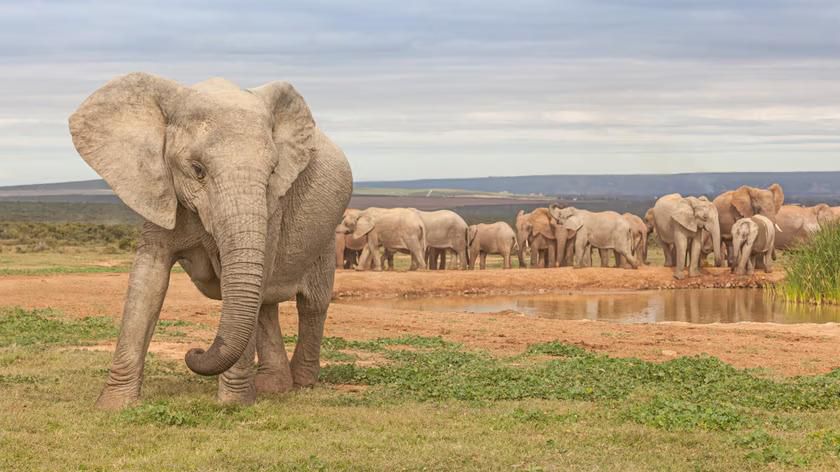 Port Elizabeth, South Africa [123RF]