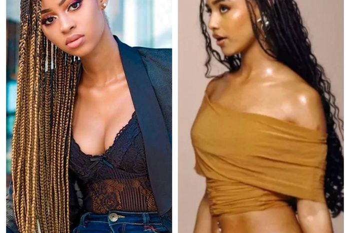 Best braids hairstyle for women and girls [Pinterest]