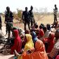 The scene after troops rescue kidnap victims in the Tangaza Local Government Area of Sokoto State on Tuesday, November 21, 2023. [Nigerian Army]