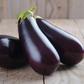 Egg plants