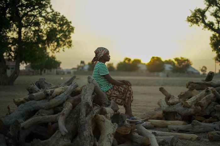 The Harvest [Instagram/kachibenson]