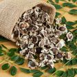Benefits of moringa seeds [Everythingyouneed]