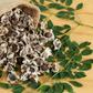 Benefits of moringa seeds [Everythingyouneed]
