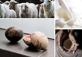 Sheep in skincare [Ecovoice]