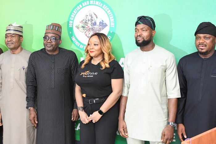 FG pledges to create 100,000 verifiable jobs by May 29