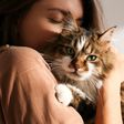 Purring is therapeutic for humans [GreatPetLiving]