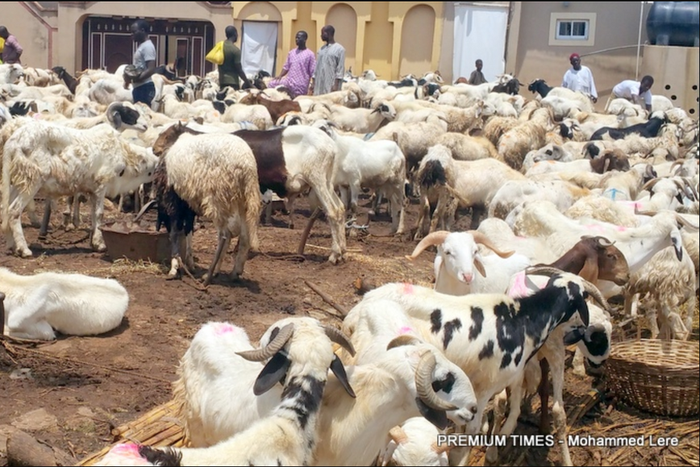 Plateau Rep donates 400 rams, ₦20 million to constituents for Sallah