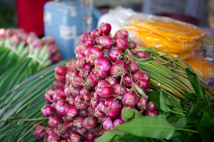 Bunches of red onion with scallions [Image Credit: Ian Panelo]
