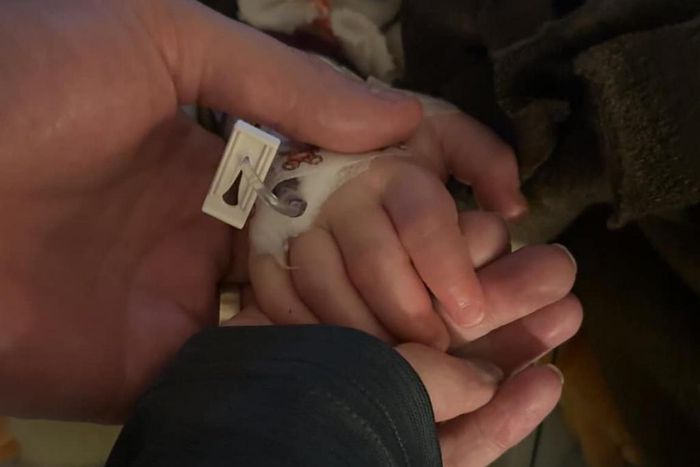 Madden Hein is dead [Facebook/Kathryn Nasby Hein]