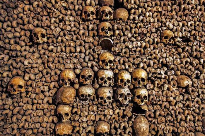 The Paris Catacombs is one of the scariest places in the world [Getyourguide]