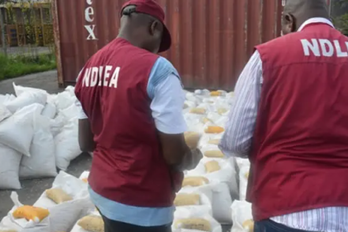 NDLEA officials [Vanguard News]