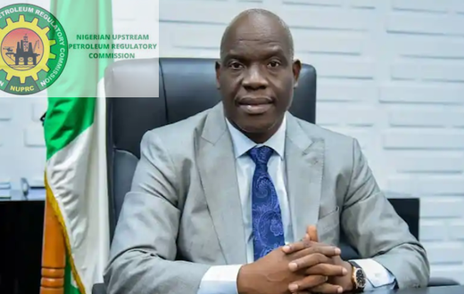 Gbenga Komolafe, the Chief Executive Officer of the Nigerian Upstream Petroleum Regulatory Commission. [Leading Reporters]