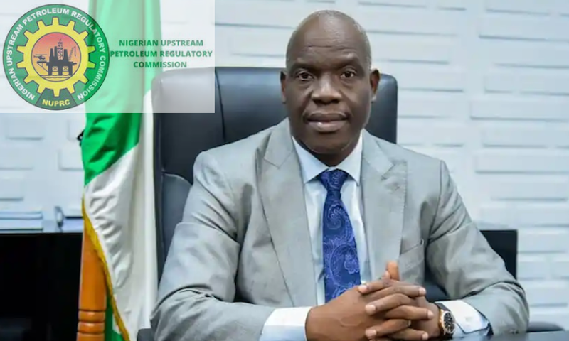 Gbenga Komolafe, the Chief Executive Officer of the Nigerian Upstream Petroleum Regulatory Commission. [Leading Reporters]