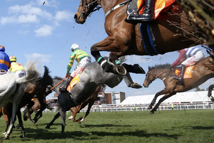 President Tinubu’s horse wins international horse racing competition in Kaduna