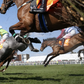 President Tinubu’s horse wins international horse racing competition in Kaduna